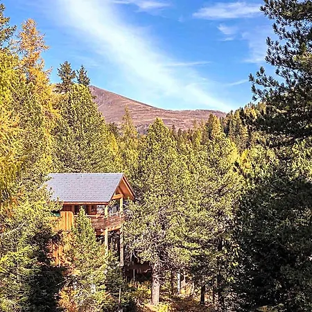 Hotel In Pine Forest Near Slopes