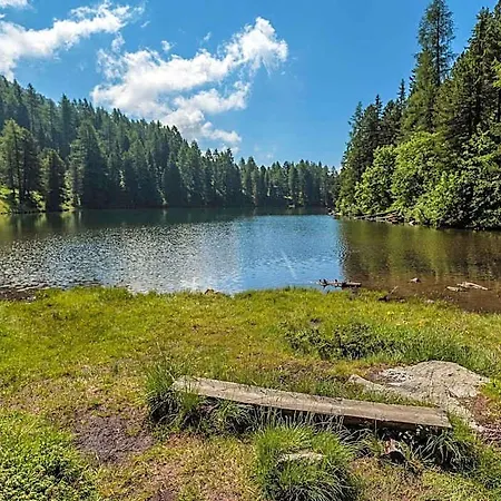 In Pine Forest Near Slopes Hotel