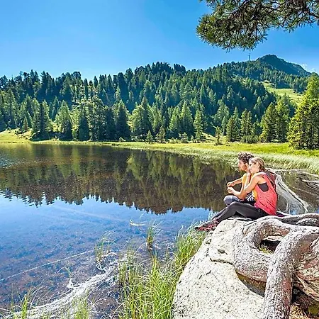 In Pine Forest Near Slopes Hotel Predlitz-Turrach