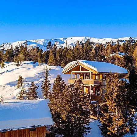 Hotel In Pine Forest Near Slopes 2*